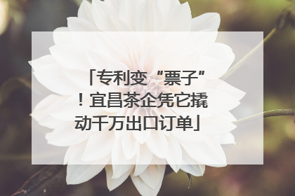 专利变“票子”！宜昌茶企凭它撬动千万出口订单