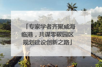 专家学者齐聚威海临港，共谋零碳园区规划建设创新之路