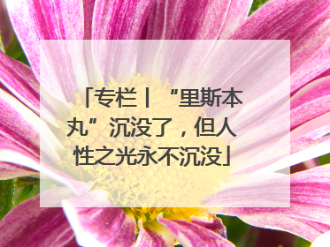 专栏丨“里斯本丸”沉没了，但人性之光永不沉没