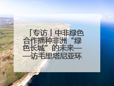 专访丨中非绿色合作播种非洲“绿色长城”的未来——访毛里塔尼亚环境部长拉格达夫