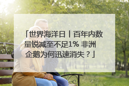 世界海洋日丨百年内数量锐减至不足1% 非洲企鹅为何迅速消失？
