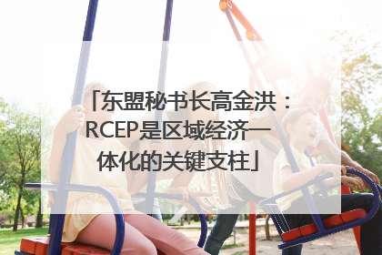 东盟秘书长高金洪：RCEP是区域经济一体化的关键支柱