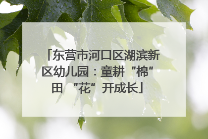 东营市河口区湖滨新区幼儿园：童耕“棉”田 “花”开成长