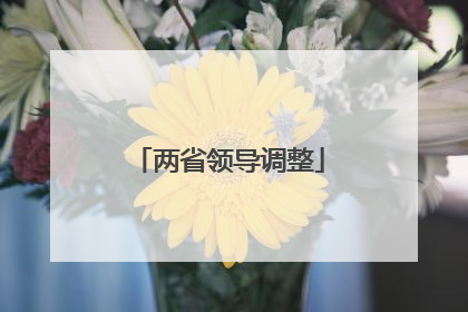 两省领导调整