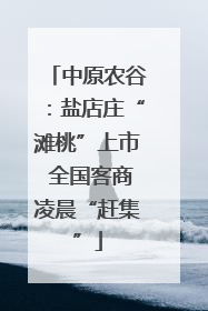 中原农谷：盐店庄“滩桃”上市 全国客商凌晨“赶集”