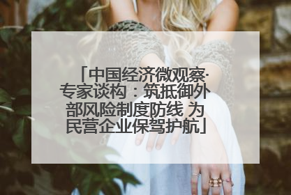 中国经济微观察·专家谈构：筑抵御外部风险制度防线 为民营企业保驾护航