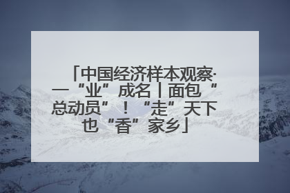 中国经济样本观察·一“业”成名丨面包“总动员”！“走”天下也“香”家乡