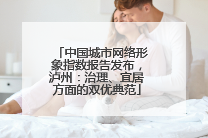 中国城市网络形象指数报告发布，泸州：治理、宜居方面的双优典范