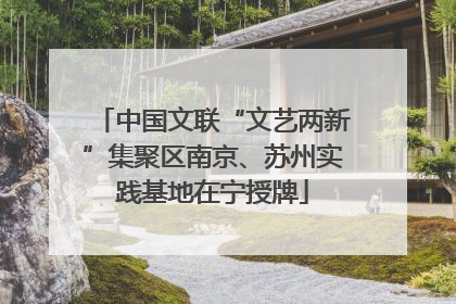 中国文联“文艺两新”集聚区南京、苏州实践基地在宁授牌
