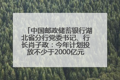中国邮政储蓄银行湖北省分行党委书记、行长肖子政：今年计划投放不少于2000亿元支持支点建设