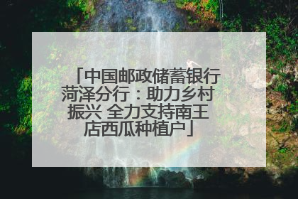 中国邮政储蓄银行菏泽分行：助力乡村振兴 全力支持南王店西瓜种植户