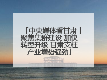 中央媒体看甘肃丨聚焦集群建设 加快转型升级 甘肃支柱产业增势强劲