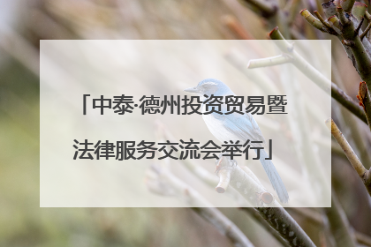 中泰·德州投资贸易暨法律服务交流会举行