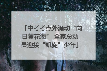 中考考点外涌动“向日葵花海” 全家总动员迎接“凯旋”少年