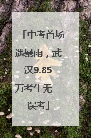 中考首场遇暴雨，武汉9.85万考生无一误考