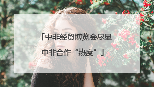 中非经贸博览会尽显中非合作“热度”