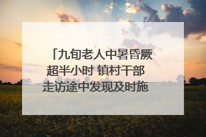 九旬老人中暑昏厥超半小时 镇村干部走访途中发现及时施救｜看见正能量