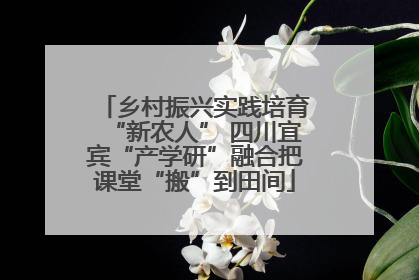 乡村振兴实践培育“新农人” 四川宜宾“产学研”融合把课堂“搬”到田间