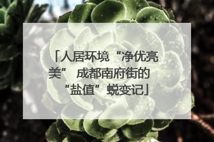 人居环境“净优亮美” 成都南府街的“盐值”蜕变记