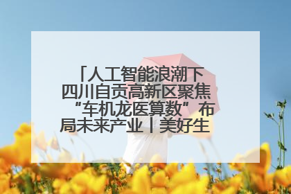 人工智能浪潮下 四川自贡高新区聚焦“车机龙医算数”布局未来产业丨美好生活有“盐”味