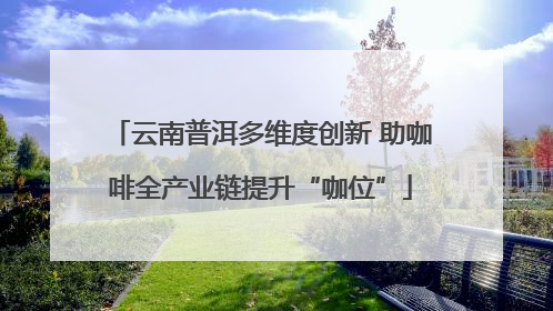 云南普洱多维度创新 助咖啡全产业链提升“咖位”