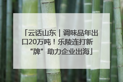 云话山东｜调味品年出口20万吨！乐陵连打新“牌”助力企业出海