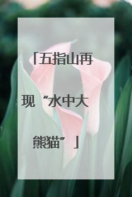 五指山再现“水中大熊猫”
