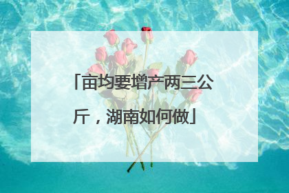 亩均要增产两三公斤，湖南如何做