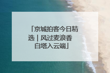 京城拍客今日精选｜风过麦浪香 白塔入云端