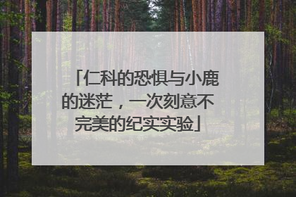 仁科的恐惧与小鹿的迷茫，一次刻意不完美的纪实实验