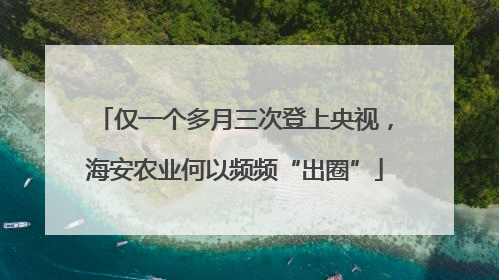 仅一个多月三次登上央视，海安农业何以频频“出圈”