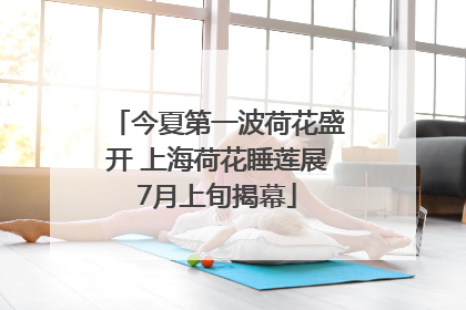 今夏第一波荷花盛开 上海荷花睡莲展7月上旬揭幕
