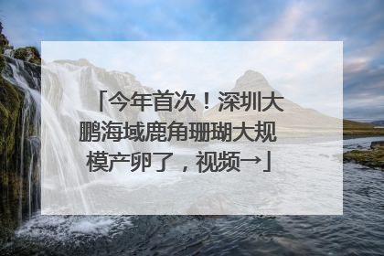 今年首次！深圳大鹏海域鹿角珊瑚大规模产卵了，视频→