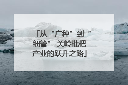 从“广种”到“细管” 关岭枇杷产业的跃升之路
