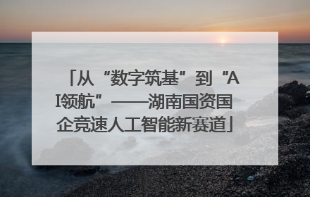 从“数字筑基”到“AI领航”——湖南国资国企竞速人工智能新赛道