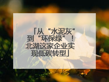 从“水泥灰”到“环保绿”！北湖这家企业实现低碳转型