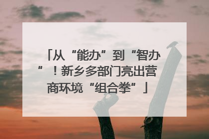 从“能办”到“智办”！新乡多部门亮出营商环境“组合拳”