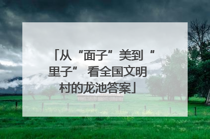 从“面子”美到“里子” 看全国文明村的龙池答案