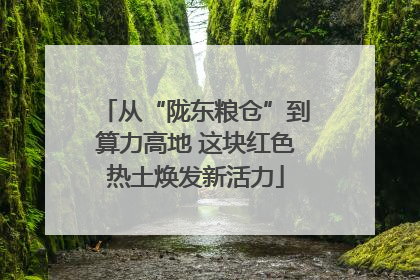 从“陇东粮仓”到算力高地 这块红色热土焕发新活力