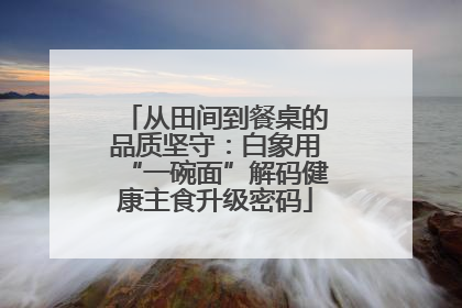 从田间到餐桌的品质坚守：白象用“一碗面”解码健康主食升级密码