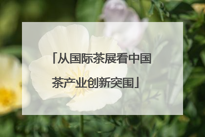 从国际茶展看中国茶产业创新突围