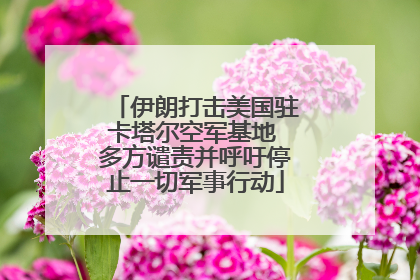 伊朗打击美国驻卡塔尔空军基地 多方谴责并呼吁停止一切军事行动