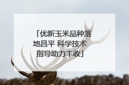 优新玉米品种落地昌平 科学技术指导助力丰收