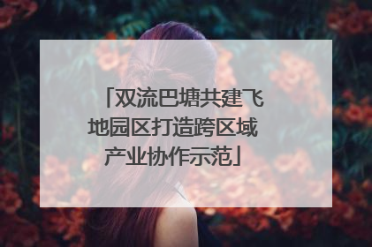 双流巴塘共建飞地园区打造跨区域产业协作示范