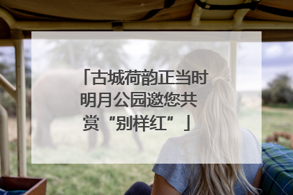 古城荷韵正当时 明月公园邀您共赏“别样红”