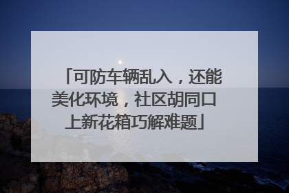 可防车辆乱入，还能美化环境，社区胡同口上新花箱巧解难题