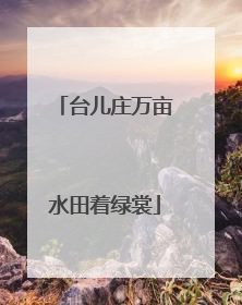 台儿庄万亩水田着绿裳