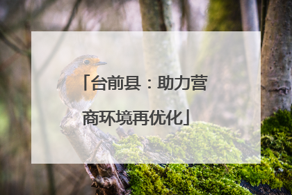 台前县：助力营商环境再优化