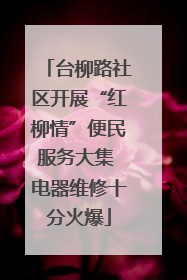 台柳路社区开展“红柳情”便民服务大集 电器维修十分火爆