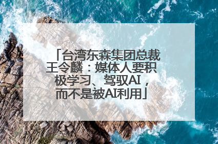 台湾东森集团总裁王令麟：媒体人要积极学习、驾驭AI，而不是被AI利用